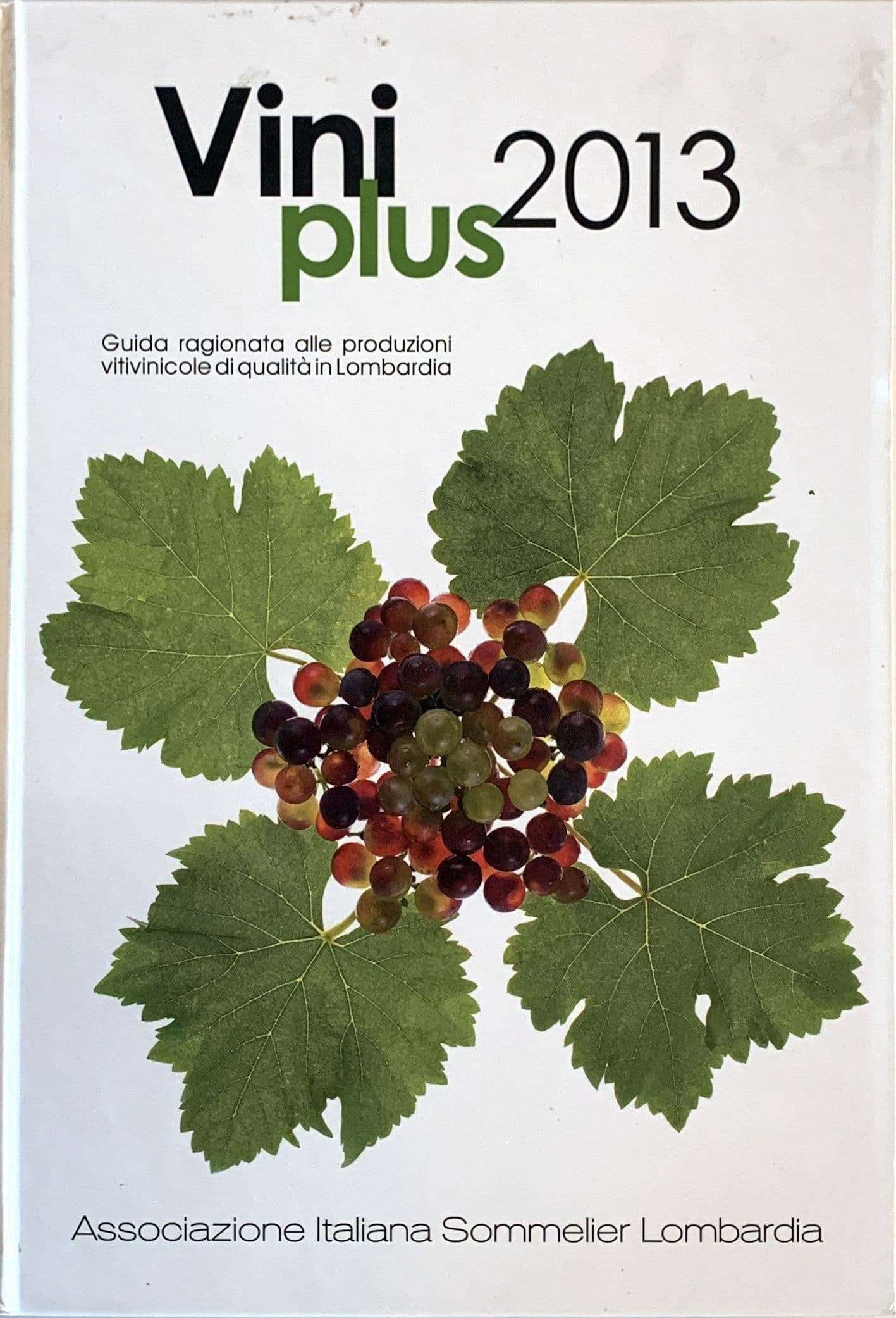 Vini Plus 2013