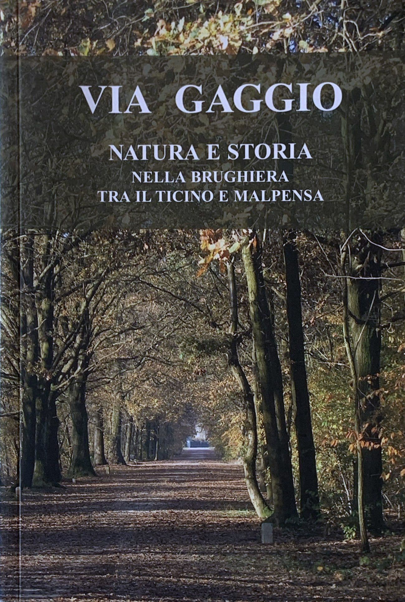 Via Gaggio