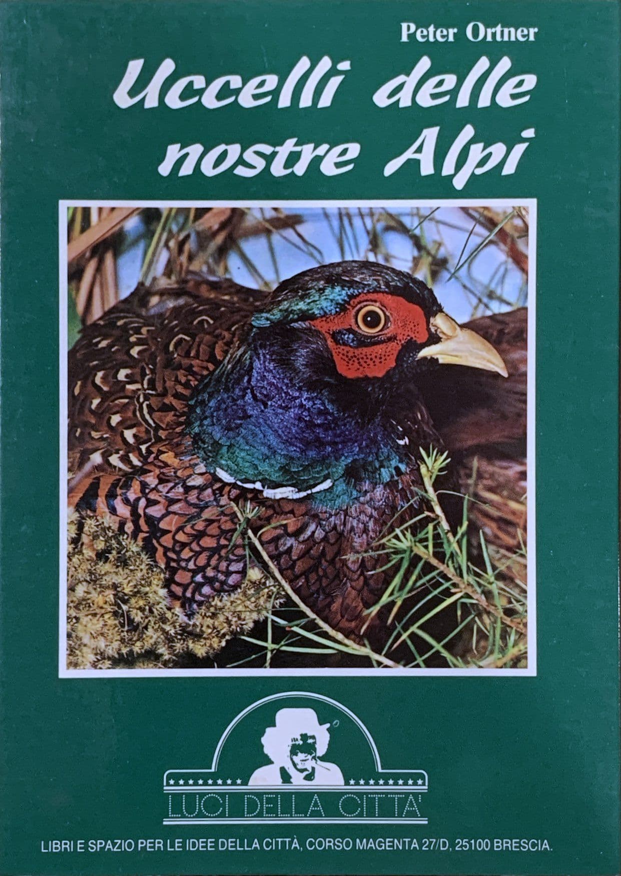 Uccelli delle nostre Alpi