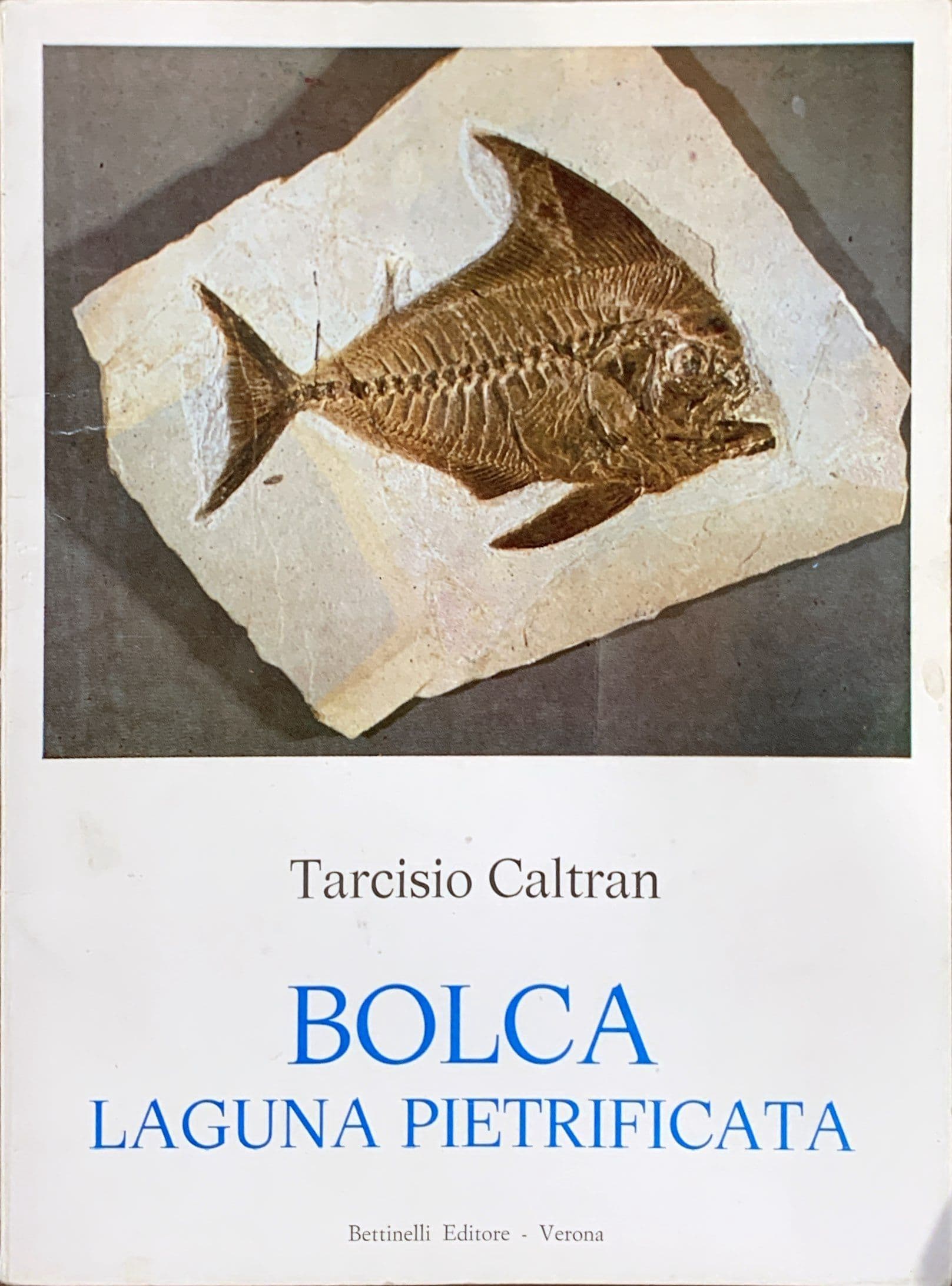 Bolca laguna pietrificata
