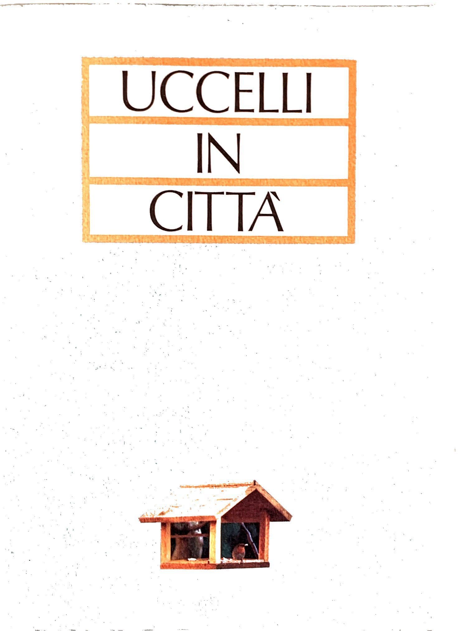 Uccelli in città