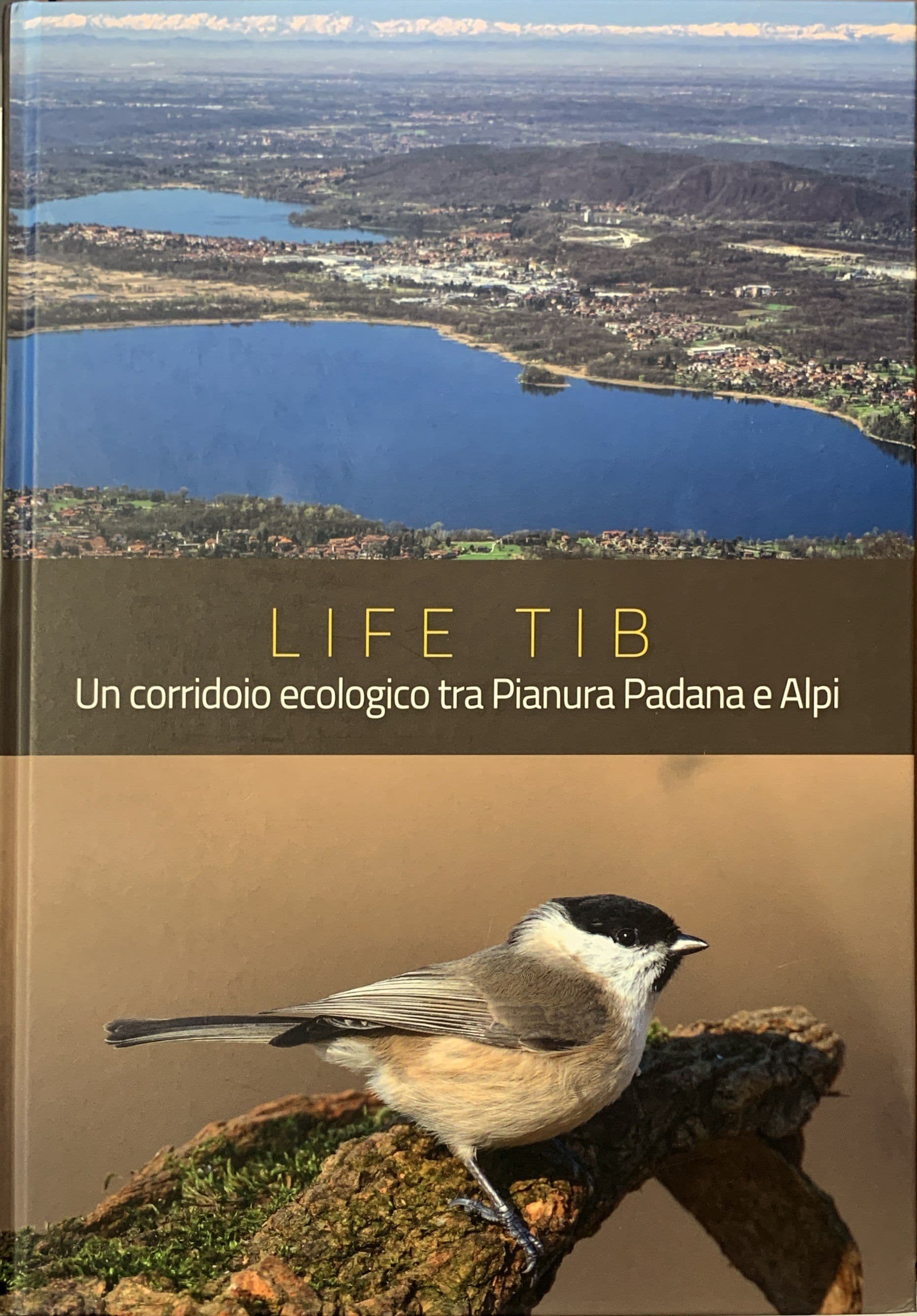 Life TIB