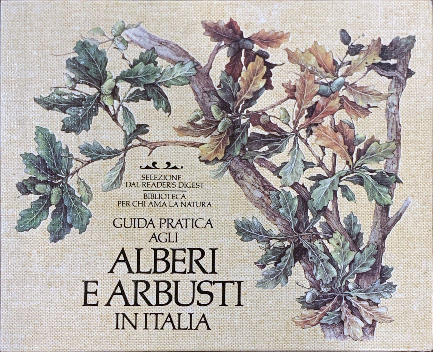Guida pratica agli alberi e arbusti in Italia