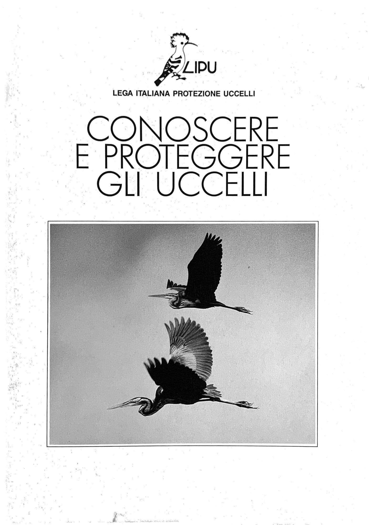 Conoscere e proteggere gli uccelli
