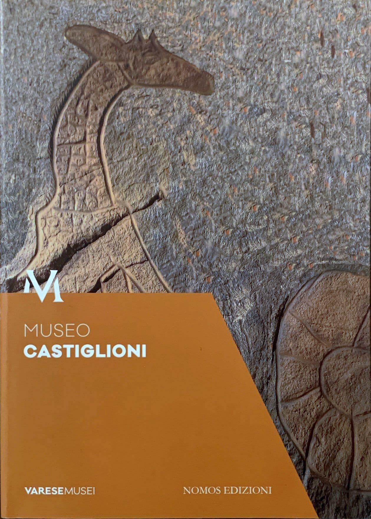 Museo Castiglioni