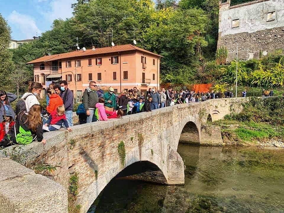 via francisca