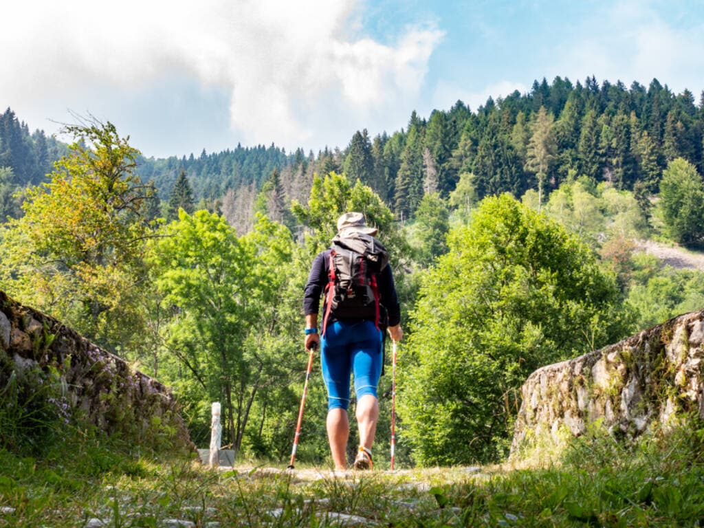 Sulle tracce di Ermenegildo. In cammino tra la natura dell’Oasi Zegna